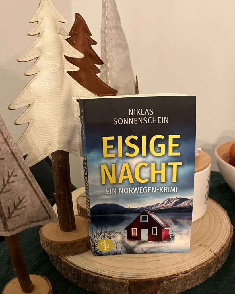 Bild zu der Rezension von Sonnenschein, Niklas: Eisige Nacht